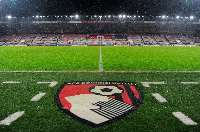 vitality stadium view