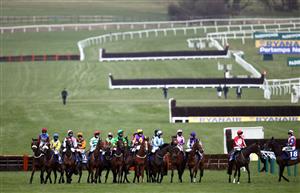 CHELTENHAM, ENGLAND - MARCH 18:Runners and Riders at the start of the Pertemps Network Final Handicap Hurdle on day three of the Cheltenham Festival at Cheltenham Racecourse on March 18, 2021 in Cheltenham, England. Sporting venues around the UK remain under strict restrictions due to the Coronavirus Pandemic as Government social distancing laws prohibit spectators inside venues resulting in events being held behind closed doors. (Photo by Tim Goode-Pool/Getty Images)
