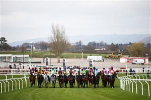 CHELTENHAM, ENGLAND - MARCH 18: Runners and riders line up for the start of the Pertemps Network Final Handicap Hurdle during Day Three of the Cheltenham Festival 2021 at Cheltenham Racecourse on March 18, 2021 in Cheltenham, England. Sporting venues around the UK remain under strict restrictions due to the Coronavirus Pandemic as Government social distancing laws prohibit spectators inside venues resulting in events being held behind closed doors. (Photo by Michael Steele/Getty Images)