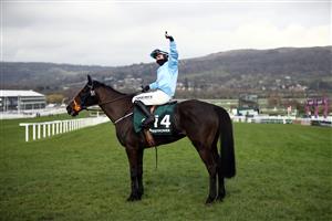 CHELTENHAM, ENGLAND - MARCH 18: The Shunter ridden by Jordan Gainford after winning the Paddy Power Plate Handicap Chase on day three of the Cheltenham Festival at Cheltenham Racecourse on March 18, 2021 in Cheltenham, England. Sporting venues around the UK remain under strict restrictions due to the Coronavirus Pandemic as Government social distancing laws prohibit spectators inside venues resulting in events being held behind closed doors. (Photo by Tim Goode-Pool/Getty Images)