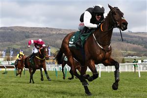 CHELTENHAM, ENGLAND - MARCH 18: Flooring Porter ridden by Danny Mullins on their way to winning the Paddy Power Stayers' Hurdle (Grade 1) during Day Three of the Cheltenham Festival 2021 at Cheltenham Racecourse on March 18, 2021 in Cheltenham, England. Sporting venues around the UK remain under strict restrictions due to the Coronavirus Pandemic as Government social distancing laws prohibit spectators inside venues resulting in events being held behind closed doors. (Photo by Michael Steele/Getty Images)
