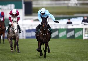CHELTENHAM, ENGLAND - MARCH 18: The Shunter ridden by Jordan Gainford after winning the Paddy Power Plate Handicap Chase on day three of the Cheltenham Festival at Cheltenham Racecourse on March 18, 2021 in Cheltenham, England. Sporting venues around the UK remain under strict restrictions due to the Coronavirus Pandemic as Government social distancing laws prohibit spectators inside venues resulting in events being held behind closed doors. (Photo by Tim Goode-Pool/Getty Images)