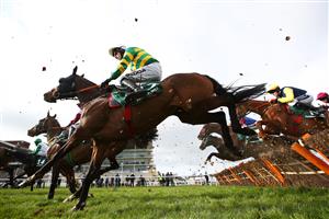 CHELTENHAM, ENGLAND - MARCH 18: Sire Du Berlais ridden by Mark Walsh clears the last in the the Paddy Power Stayers' Hurdle (Grade 1) during Day Three of the Cheltenham Festival 2021 at Cheltenham Racecourse on March 18, 2021 in Cheltenham, England. Sporting venues around the UK remain under strict restrictions due to the Coronavirus Pandemic as Government social distancing laws prohibit spectators inside venues resulting in events being held behind closed doors. (Photo by Michael Steele/Getty Images)