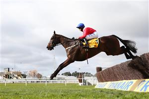 CHELTENHAM, ENGLAND - MARCH 18: Allaho ridden by Rachael Blackmore jumps the last to win the Ryanair Chase (Grade 1) during Day Three of the Cheltenham Festival 2021 at Cheltenham Racecourse on March 18, 2021 in Cheltenham, England. Sporting venues around the UK remain under strict restrictions due to the Coronavirus Pandemic as Government social distancing laws prohibit spectators inside venues resulting in events being held behind closed doors. (Photo by Michael Steele/Getty Images)