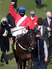 CHELTENHAM, ENGLAND - MARCH 18: Allaho ridden by Rachael Blackmore reacts after winning the Ryanair Chase on day three of the Cheltenham Festival at Cheltenham Racecourse on March 18, 2021 in Cheltenham, England. Sporting venues around the UK remain under strict restrictions due to the Coronavirus Pandemic as Government social distancing laws prohibit spectators inside venues resulting in events being held behind closed doors. (Photo by Tim Goode-Pool/Getty Images)