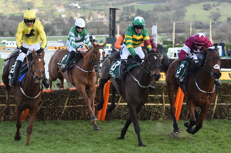 cheltenham county hurdle