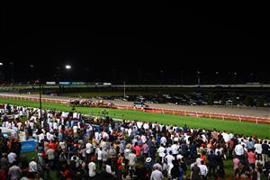 MELBOURNE, AUSTRALIA - MARCH 19: Matthew Cartwright riding Sisstar winning race 5, the Ladbrokes 55 Second Challenge Final, during Melbourne Racing at Moonee Valley Racecourse on March 19, 2021 in Melbourne, Australia. (Photo by Vince Caligiuri/Getty Images)