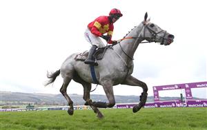 CHELTENHAM, ENGLAND - MARCH 19: Vanillier ridden by Jonathan Moore races to the finish line during the Albert Bartlett Novices' Hurdle (Grade 1) race on Day Four of the Cheltenham Festival 2021 at Cheltenham Racecourse on March 19, 2021 in Cheltenham, England. Sporting venues around the UK remain under strict restrictions due to the Coronavirus Pandemic as Government social distancing laws prohibit spectators inside venues resulting in events being held behind closed doors. (Photo by Michael Steele/Getty Images)