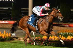 MELBOURNE, AUSTRALIA - MARCH 19: Ben Allen riding Marabi winning Race 8, the Independent Turf Services Handicap, during Melbourne Racing at Moonee Valley Racecourse on March 19, 2021 in Melbourne, Australia. (Photo by Vince Caligiuri/Getty Images)