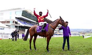 CHELTENHAM, ENGLAND - MARCH 19: Jack Kennedy (jockey of Minella Indo) celebrates winning the Gold Cup during the WellChild Cheltenham Gold Cup Chase (Grade 1) race on Day Four of the Cheltenham Festival 2021 at Cheltenham Racecourse on March 19, 2021 in Cheltenham, England. Sporting venues around the UK remain under strict restrictions due to the Coronavirus Pandemic as Government social distancing laws prohibit spectators inside venues resulting in events being held behind closed doors. (Photo by Michael Steele/Getty Images)