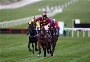 CHELTENHAM, ENGLAND - MARCH 19: Minella Indo ridden by Jack Kennedy (scarlet and yellow) on his way to winning the WellChild Cheltenham Gold Cup Chase on day four of the Cheltenham Festival at Cheltenham Racecourse on March 19, 2021 in Cheltenham, England. Sporting venues around the UK remain under strict restrictions due to the Coronavirus Pandemic as Government social distancing laws prohibit spectators inside venues resulting in events being held behind closed doors. (Photo by Tim Goode - Pool/Getty Images)