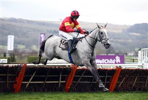 CHELTENHAM, ENGLAND - MARCH 19: Vanillier ridden by Mark Walsh on their way to winning the Albert Bartlett Novices' Hurdle on day four of the Cheltenham Festival at Cheltenham Racecourse on March 19, 2021 in Cheltenham, England. Sporting venues around the UK remain under strict restrictions due to the Coronavirus Pandemic as Government social distancing laws prohibit spectators inside venues resulting in events being held behind closed doors. (Photo by Tim Goode - Pool/Getty Images)