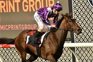 MELBOURNE, AUSTRALIA - MARCH 19: Mark Zahra riding Chica Fuerte winning Race 4, the Dynamic Print Group Alexandra Stakes, during Melbourne Racing at Moonee Valley Racecourse on March 19, 2021 in Melbourne, Australia. (Photo by Vince Caligiuri/Getty Images)
