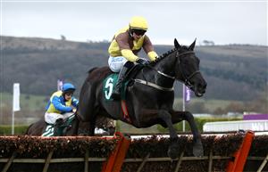 CHELTENHAM, ENGLAND - MARCH 19: Galopin Des Champs ridden by Sean O'Keeffe jumps the last to win The Martin Pipe Conditional Jockeys' Handicap Hurdle during day four of the Cheltenham Festival at Cheltenham Racecourse on March 19, 2021 in Cheltenham, England. Sporting venues around the UK remain under strict restrictions due to the Coronavirus Pandemic as Government social distancing laws prohibit spectators inside venues resulting in events being held behind closed doors. (Photo by Tim Goode - Pool/Getty Images)