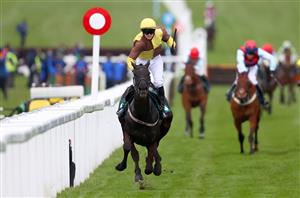 CHELTENHAM, ENGLAND - MARCH 19: Galopin Des Champs ridden by Sean O'Keeffe crosses the line to win the Martin Pipe Conditional Jockeys' Handicap Hurdle (GBB Race) (Class 2) race on Day Four of the Cheltenham Festival 2021 at Cheltenham Racecourse on March 19, 2021 in Cheltenham, England. Sporting venues around the UK remain under strict restrictions due to the Coronavirus Pandemic as Government social distancing laws prohibit spectators inside venues resulting in events being held behind closed doors. (Photo by Michael Steele/Getty Images)