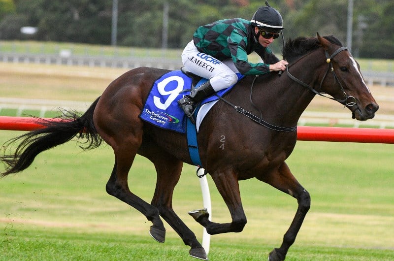 Benalla Betting Tips