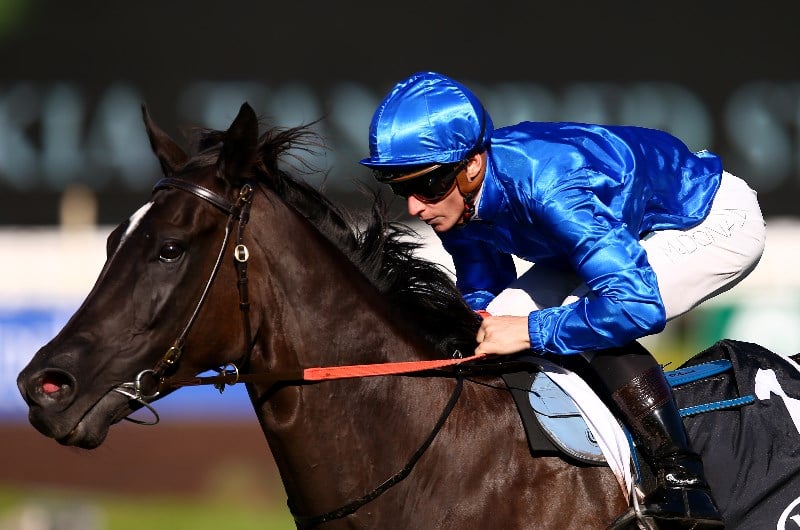 George Ryder Stakes Betting Odds