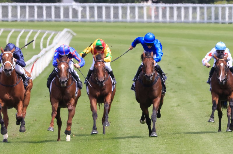 Golden Slipper Betting Odds