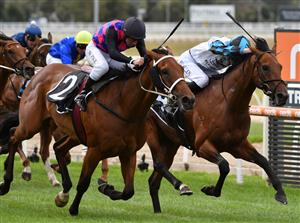 MELBOURNE, AUSTRALIA - MARCH 20: William Pike riding Dom To Shoot winning race 6, the Quayclean Mornington Guineas, during Melbourne Racing at Mornington Racecourse on March 20, 2021 in Melbourne, Australia. (Photo by Vince Caligiuri/Getty Images)