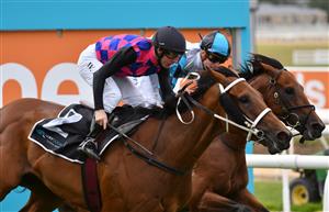 MELBOURNE, AUSTRALIA - MARCH 20: William Pike riding Dom To Shoot winning race 6, the Quayclean Mornington Guineas, during Melbourne Racing at Mornington Racecourse on March 20, 2021 in Melbourne, Australia. (Photo by Vince Caligiuri/Getty Images)