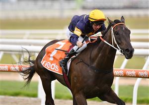 MELBOURNE, AUSTRALIA - MARCH 20: William Pike riding Mount Popa winning Race 7, the Neds Mornington Cup, during Melbourne Racing at Mornington Racecourse on March 20, 2021 in Melbourne, Australia. (Photo by Vince Caligiuri/Getty Images)