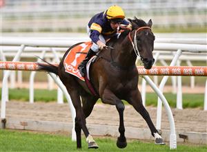 MELBOURNE, AUSTRALIA - MARCH 20: William Pike riding Mount Popa winning Race 7, the Neds Mornington Cup, during Melbourne Racing at Mornington Racecourse on March 20, 2021 in Melbourne, Australia. (Photo by Vince Caligiuri/Getty Images)