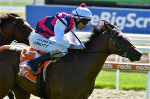 MELBOURNE, AUSTRALIA - MARCH 20: Jamie Mott riding Daily Bugle winning Race 1, the Cleanaway Sustainability Sires, during Melbourne Racing at Mornington Racecourse on March 20, 2021 in Melbourne, Australia. (Photo by Vince Caligiuri/Getty Images)
