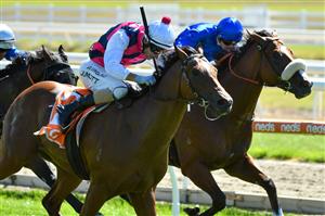 MELBOURNE, AUSTRALIA - MARCH 20: Jamie Mott riding Daily Bugle winning Race 1, the Cleanaway Sustainability Sires, during Melbourne Racing at Mornington Racecourse on March 20, 2021 in Melbourne, Australia. (Photo by Vince Caligiuri/Getty Images)