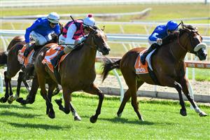 MELBOURNE, AUSTRALIA - MARCH 20: Jamie Mott riding Daily Bugle winning Race 1, the Cleanaway Sustainability Sires, during Melbourne Racing at Mornington Racecourse on March 20, 2021 in Melbourne, Australia. (Photo by Vince Caligiuri/Getty Images)