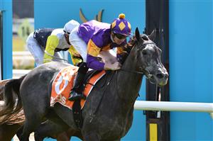 MELBOURNE, AUSTRALIA - MARCH 20: Jye McNeil riding Incredulous Dream winning Race 3, the Ids Security Handicap, during Melbourne Racing at Mornington Racecourse on March 20, 2021 in Melbourne, Australia. (Photo by Vince Caligiuri/Getty Images)