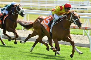 MELBOURNE, AUSTRALIA - MARCH 20: Michael Walker riding Mohican Heights winning Race 2, the Asset Painting Services Handicap, during Melbourne Racing at Mornington Racecourse on March 20, 2021 in Melbourne, Australia. (Photo by Vince Caligiuri/Getty Images)