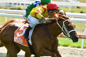 MELBOURNE, AUSTRALIA - MARCH 20: Michael Walker riding Mohican Heights winning Race 2, the Asset Painting Services Handicap, during Melbourne Racing at Mornington Racecourse on March 20, 2021 in Melbourne, Australia. (Photo by Vince Caligiuri/Getty Images)