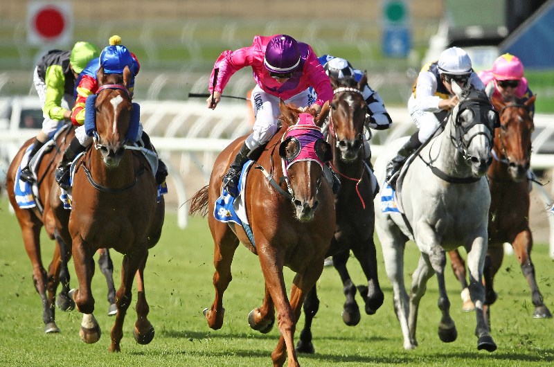 Pakenham Betting Tips