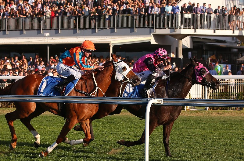 Doomben Betting Tips