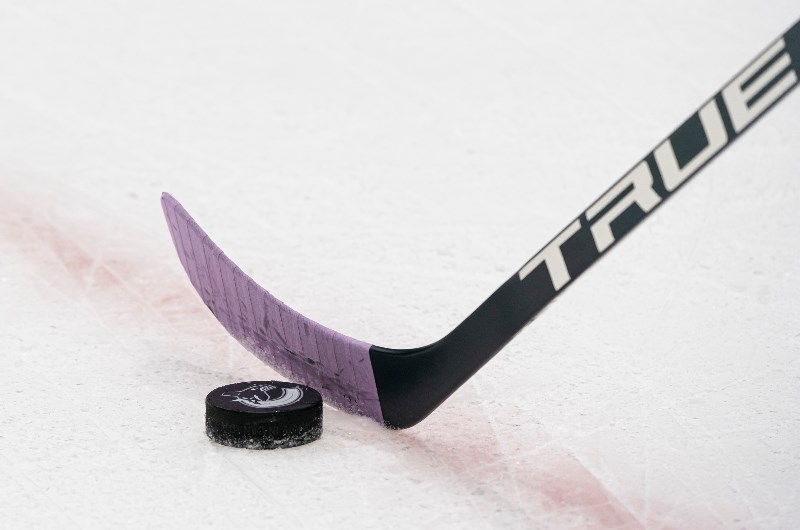 Vancouver Canucks