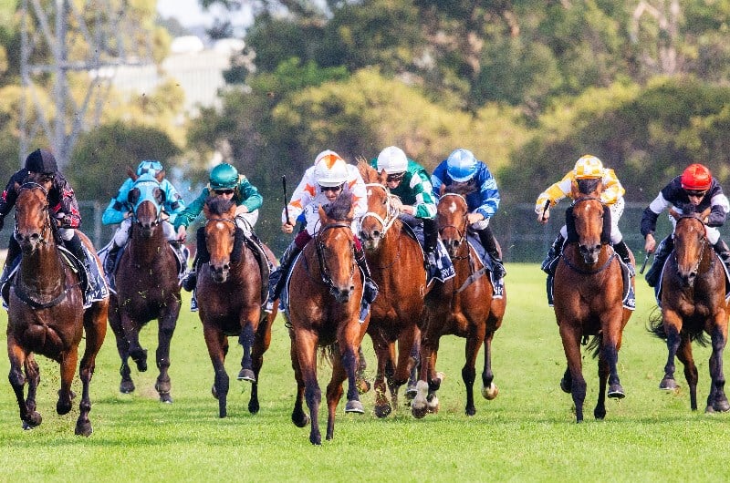 Golden Slipper Day Tips for March 27