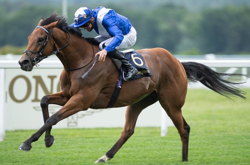 lord north ascot lord north ascot