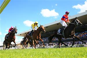 SYDNEY, AUSTRALIA - MARCH 27: James McDonald on Verry Elleegant wins race 4 the Ranvet Stakes during Golden Slipper Day at Rosehill Gardens on March 27, 2021 in Sydney, Australia. (Photo by Mark Evans/Getty Images)