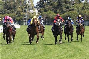 SYDNEY, AUSTRALIA - MARCH 27: James McDonald on Verry Elleegant wins race 4 the Ranvet Stakes during Golden Slipper Day at Rosehill Gardens on March 27, 2021 in Sydney, Australia. (Photo by Mark Evans/Getty Images)