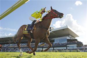 SYDNEY, AUSTRALIA - MARCH 27: Nash Rawiller on Eduardo wins race 8 the Bisley Workwear Galaxyduring Golden Slipper Day at Rosehill Gardens on March 27, 2021 in Sydney, Australia. (Photo by Mark Evans/Getty Images)