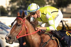 SYDNEY, AUSTRALIA - MARCH 27: Nash Rawiller on Eduardo wins race 8 the Bisley Workwear Galaxyduring Golden Slipper Day at Rosehill Gardens on March 27, 2021 in Sydney, Australia. (Photo by Mark Evans/Getty Images)
