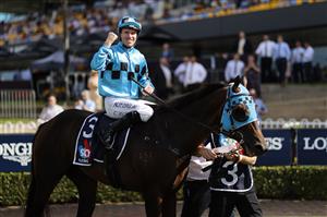 SYDNEY, AUSTRALIA - MARCH 27: Tommy Berry on Mo'unga wins the Rosehill Guineas on Mo'unga during Golden Slipper Day at Rosehill Gardens on March 27, 2021 in Sydney, Australia. (Getty)