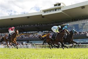SYDNEY, AUSTRALIA - MARCH 27: Tommy Berry on Mo'unga wins the Rosehill Guineas on Mo'unga during Golden Slipper Day at Rosehill Gardens on March 27, 2021 in Sydney, Australia. (Getty)