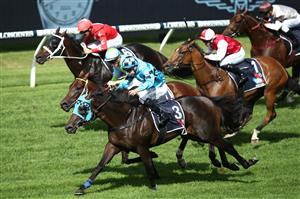 SYDNEY, AUSTRALIA - MARCH 27: Tommy Berry on Mo'unga wins the Rosehill Guineas on Mo'unga during Golden Slipper Day at Rosehill Gardens on March 27, 2021 in Sydney, Australia. (Getty)