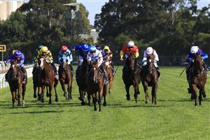 SYDNEY, AUSTRALIA - MARCH 27: Tommy Berry wins the Golden Slipper on Stay Inside uring Golden Slipper Day at Rosehill Gardens on March 27, 2021 in Sydney, Australia. (Photo by Mark Evans/Getty Images)