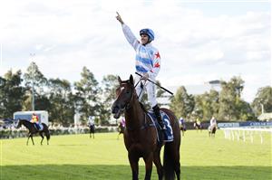 SYDNEY, AUSTRALIA - MARCH 27: Tommy Berry returns to scale after winning the Golden Slipper on Stay Inside during Golden Slipper Day at Rosehill Gardens on March 27, 2021 in Sydney, Australia. (Photo by Mark Evans/Getty Images)