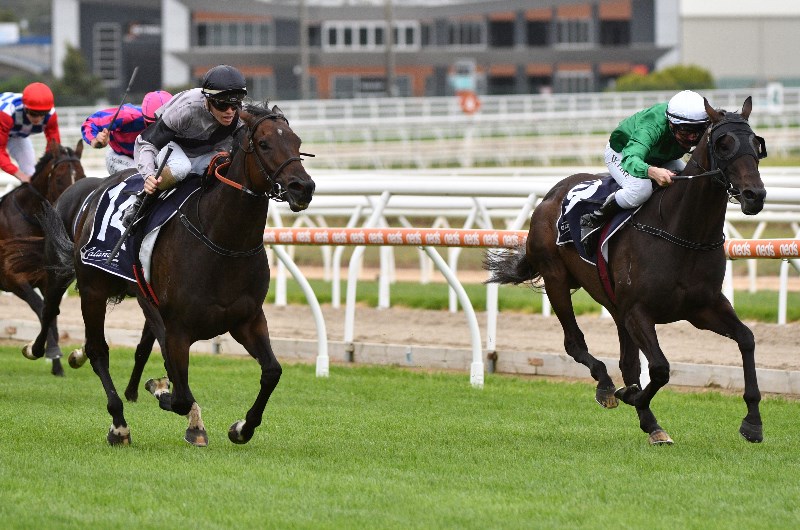 Mornington Racing Tips
