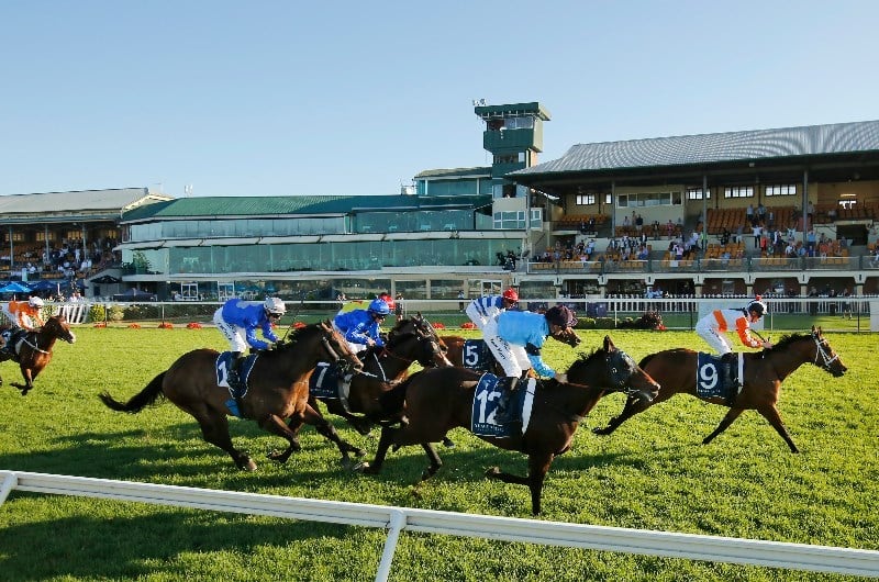 Newcastle Races Live Stream Watch live Australian racing