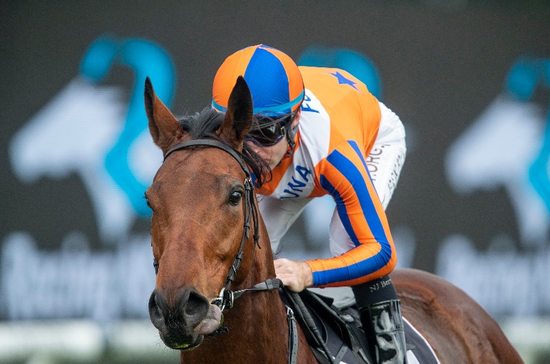 Tamcred Stakes Betting Odds