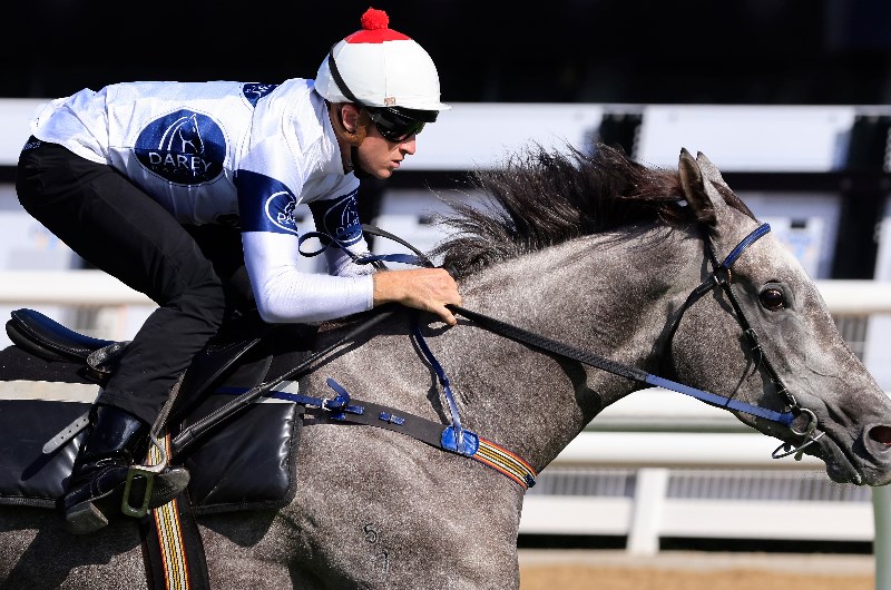 Vinery Stud Stakes Betting Odds